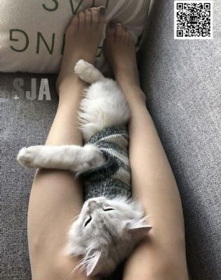 韩国三级视频在线观看_HDHD高清在线观看