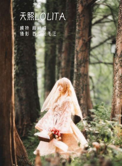 五哈第四季_超清超清免费观看